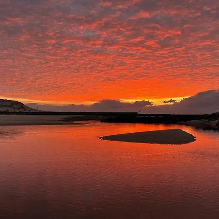 Le Hosta Saint-Julien-en-Born