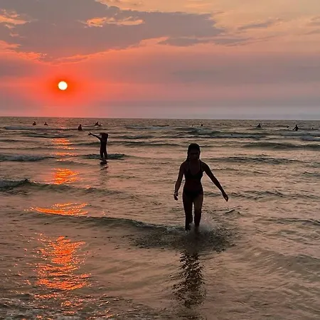 Le Hosta * Saint-Julien-en-Born