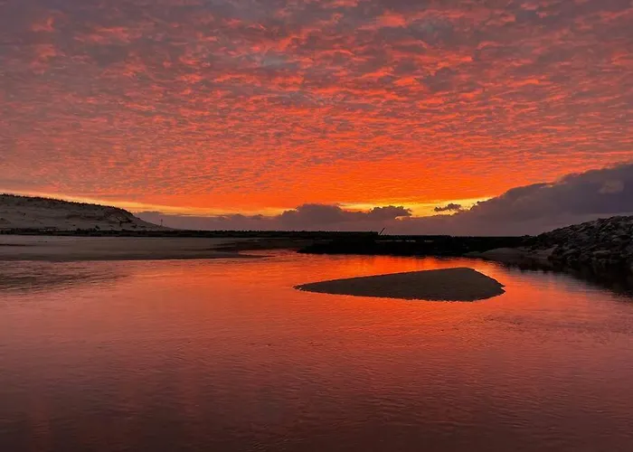 Le Hosta Saint-Julien-en-Born